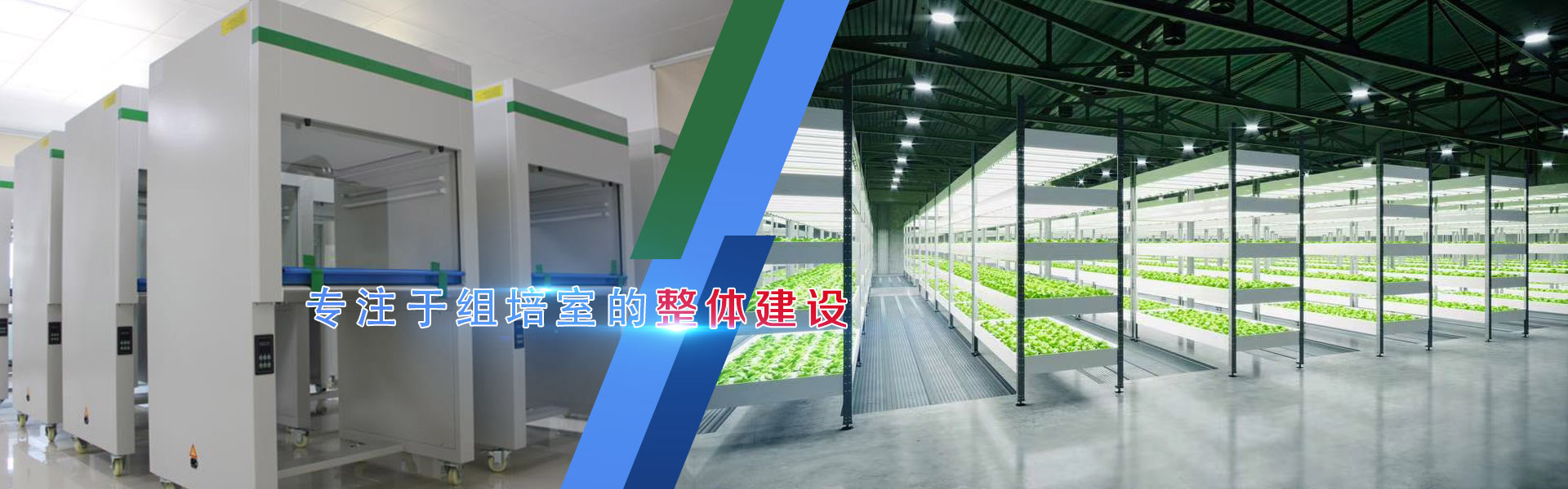 秋葵视频在线观看、秋葵视频在线观看架