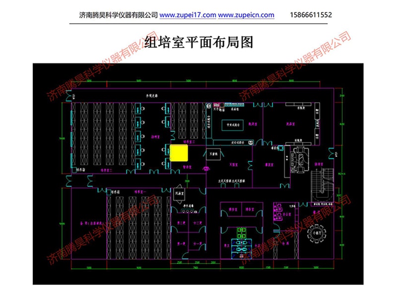 秋葵视频在线观看室
