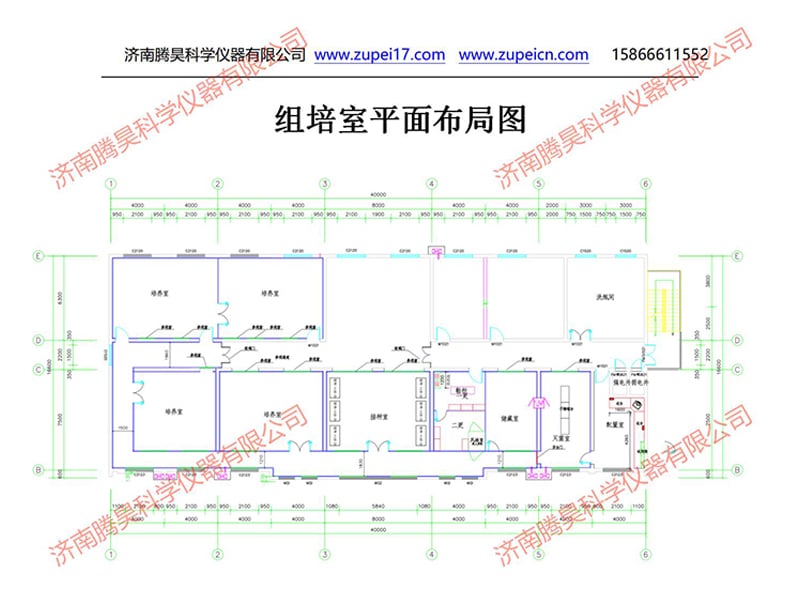 濟寧秋葵视频在线观看室設計