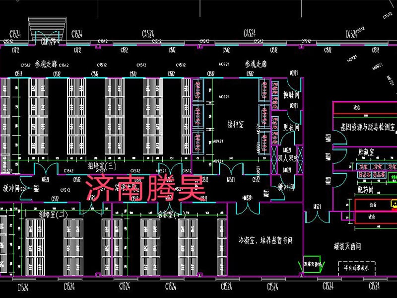 秋葵视频在线观看  秋葵视频在线观看室