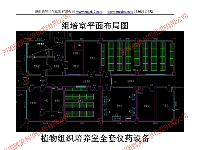 河北植物秋葵视频在线观看室