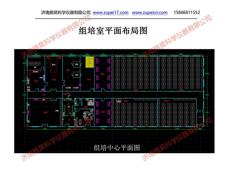 秋葵视频在线观看  秋葵视频在线观看室