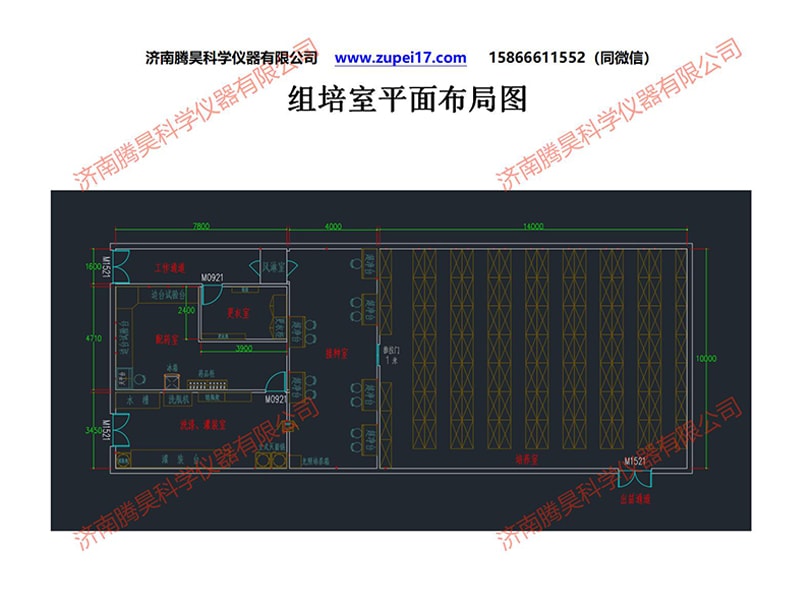 昆明人參果秋葵视频在线观看室建設方案