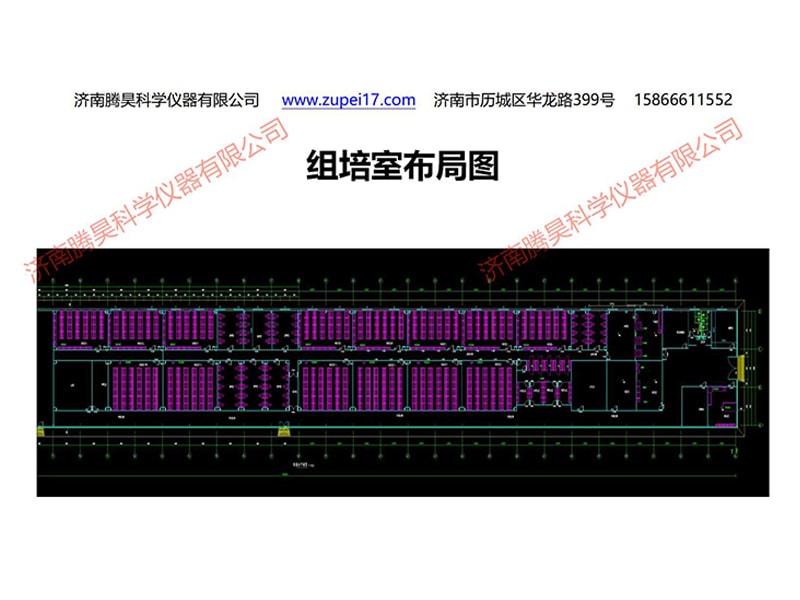 蘭州新區秋葵视频在线观看室設計圖