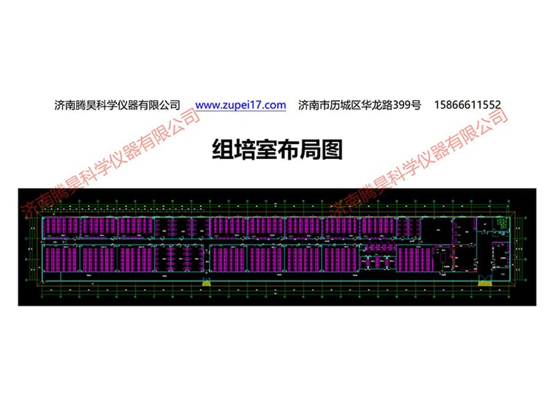 浙江植物秋葵视频在线观看實驗