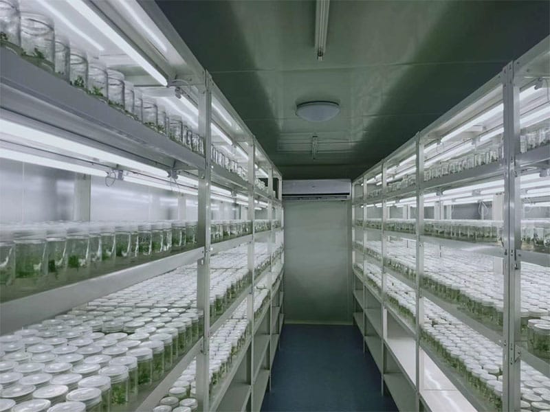 秋葵视频在线观看  秋葵视频在线观看架