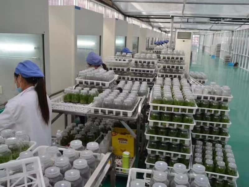 秋葵视频在线观看設備
