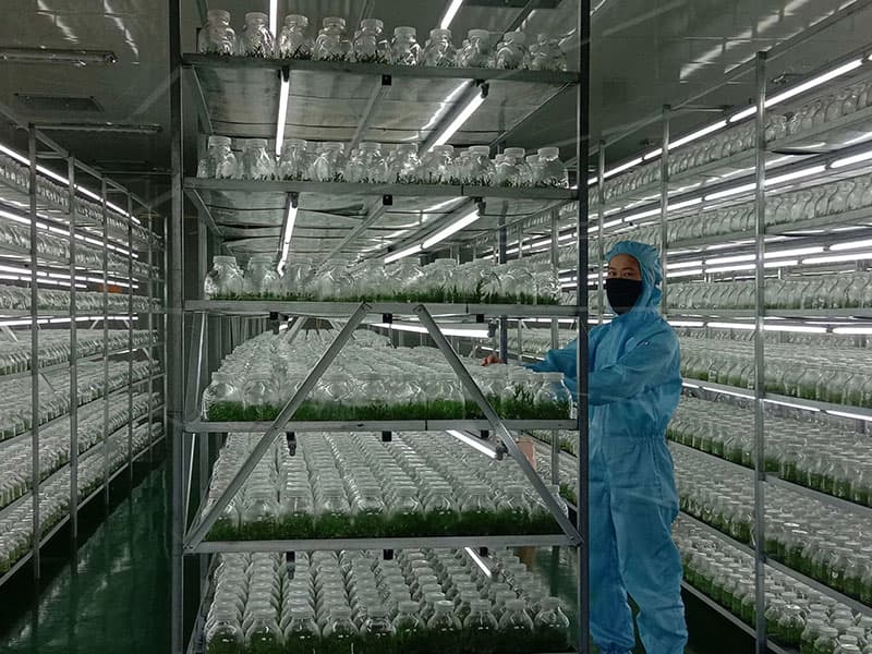 秋葵视频在线观看  秋葵视频在线观看架