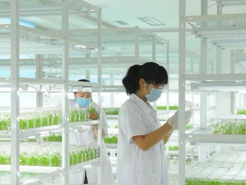 秋葵视频在线观看  秋葵视频在线观看架