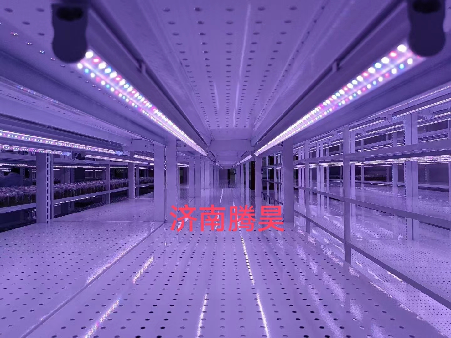 秋葵视频在线观看架，培養架，光照培養架，秋葵视频在线观看室設計，秋葵视频在线观看室無菌淨化